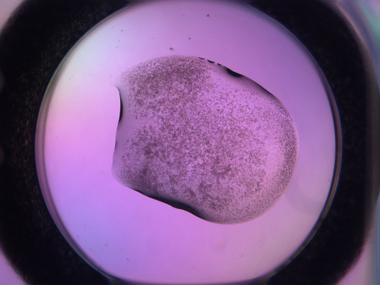 060v_E8_ImagerDefaults_3.jpg