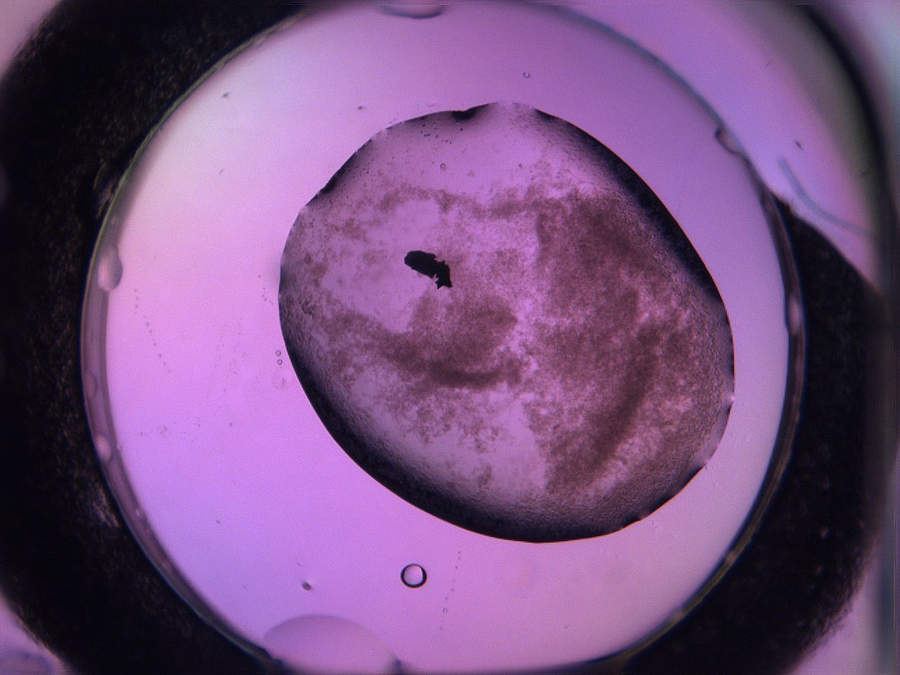 060v_E10_ImagerDefaults_3.jpg