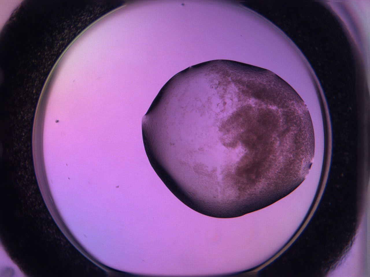 060v_E11_ImagerDefaults_3.jpg
