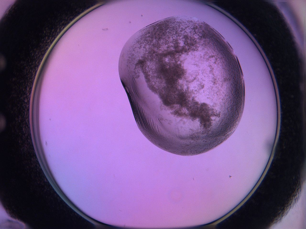 060v_E12_ImagerDefaults_3.jpg
