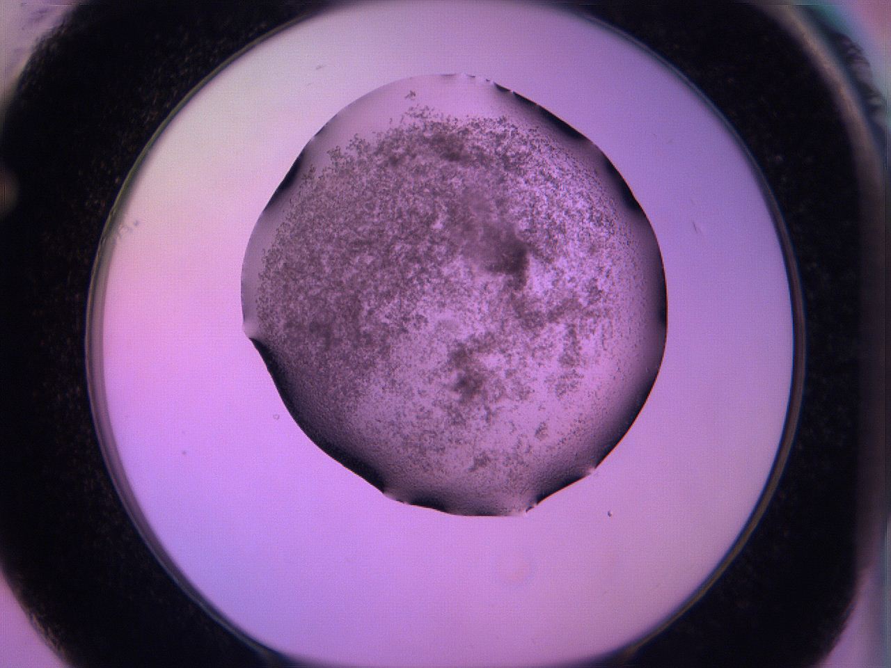 060v_F1_ImagerDefaults_3.jpg