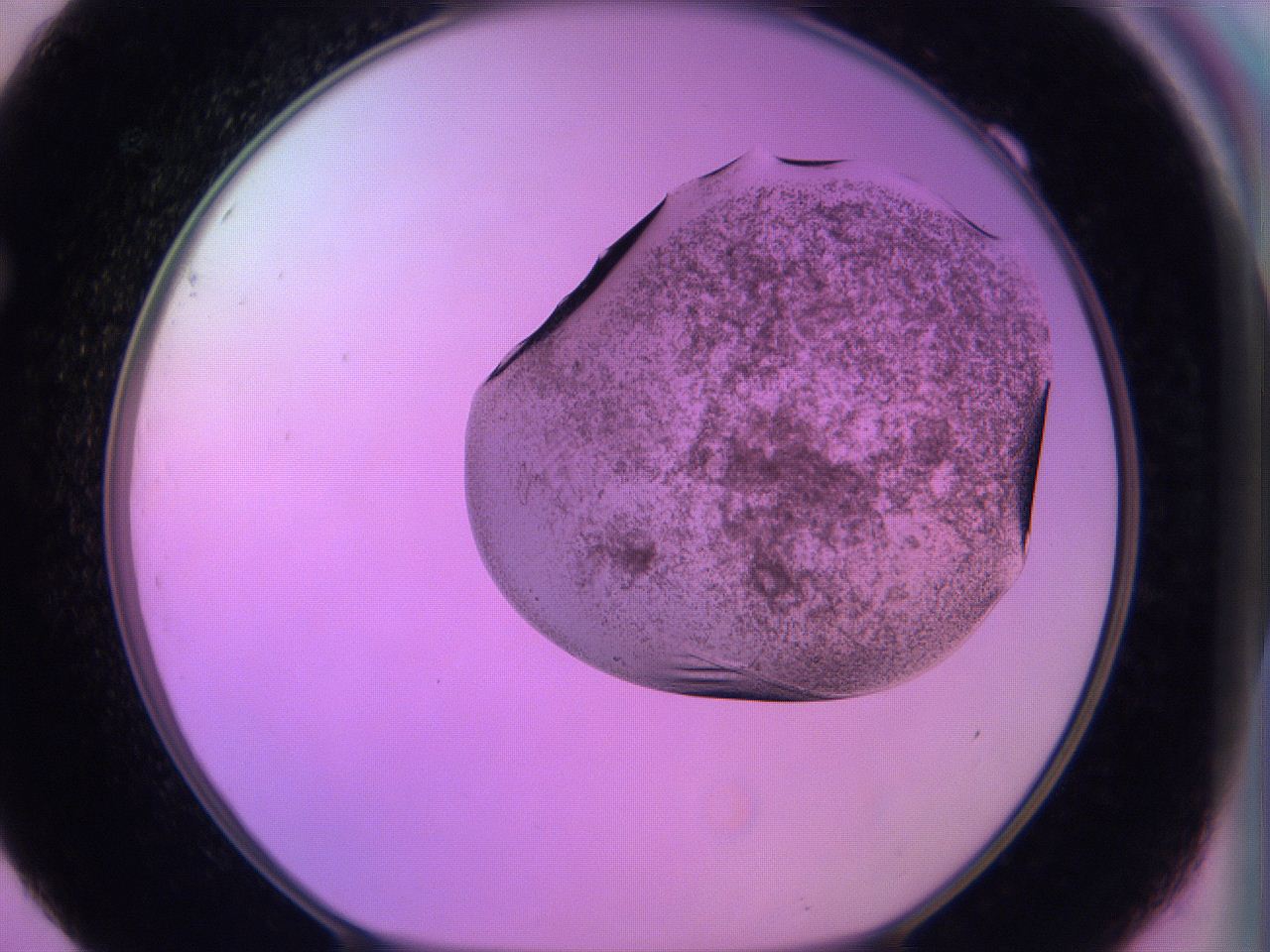 060v_F9_ImagerDefaults_3.jpg