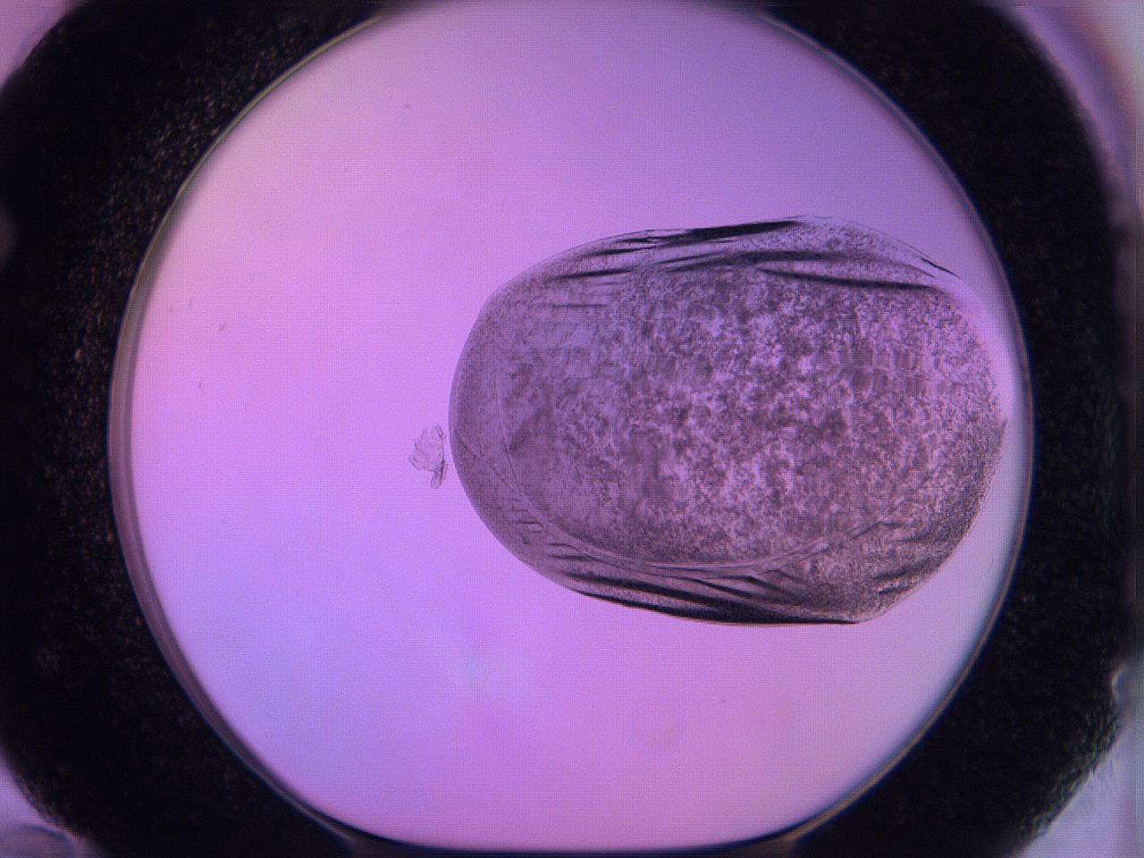 060v_F12_ImagerDefaults_3.jpg