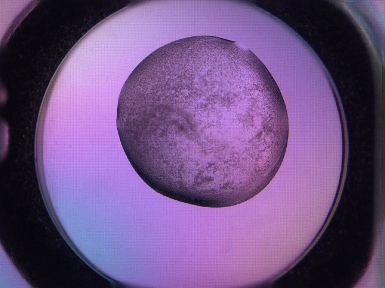 060v_G1_ImagerDefaults_3.jpg