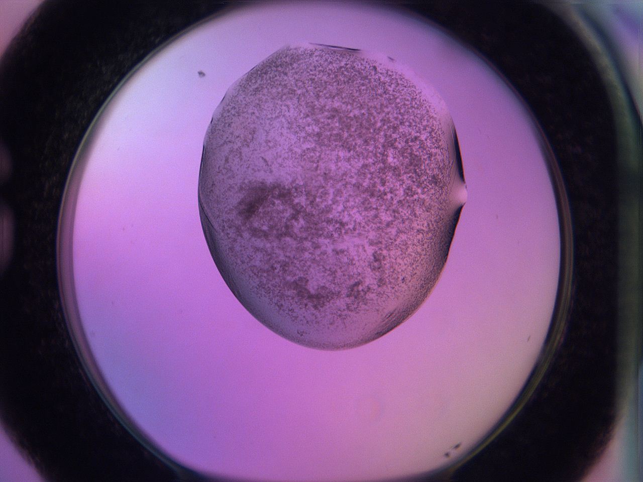 060v_G5_ImagerDefaults_3.jpg