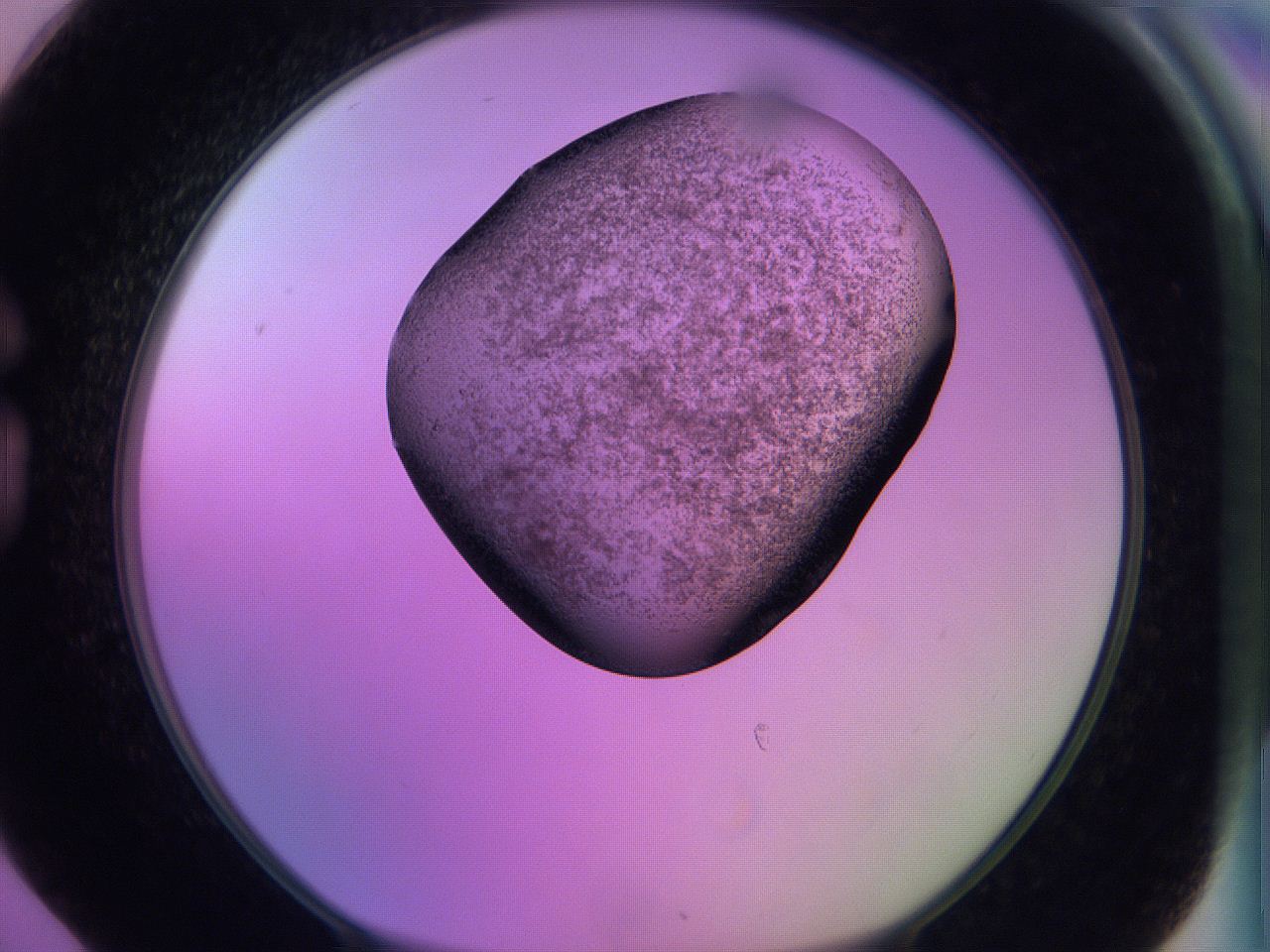 060v_G6_ImagerDefaults_3.jpg