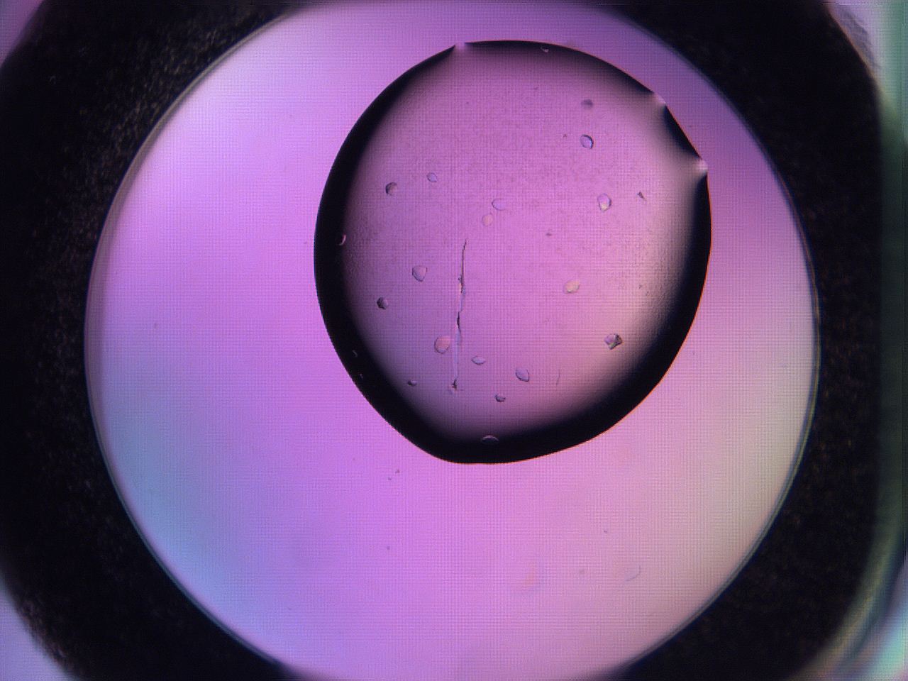060v_G6_ImagerDefaults_9.jpg