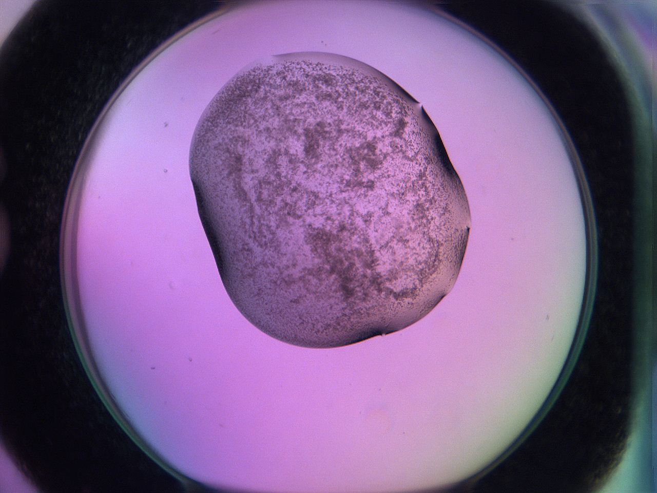 060v_G7_ImagerDefaults_3.jpg