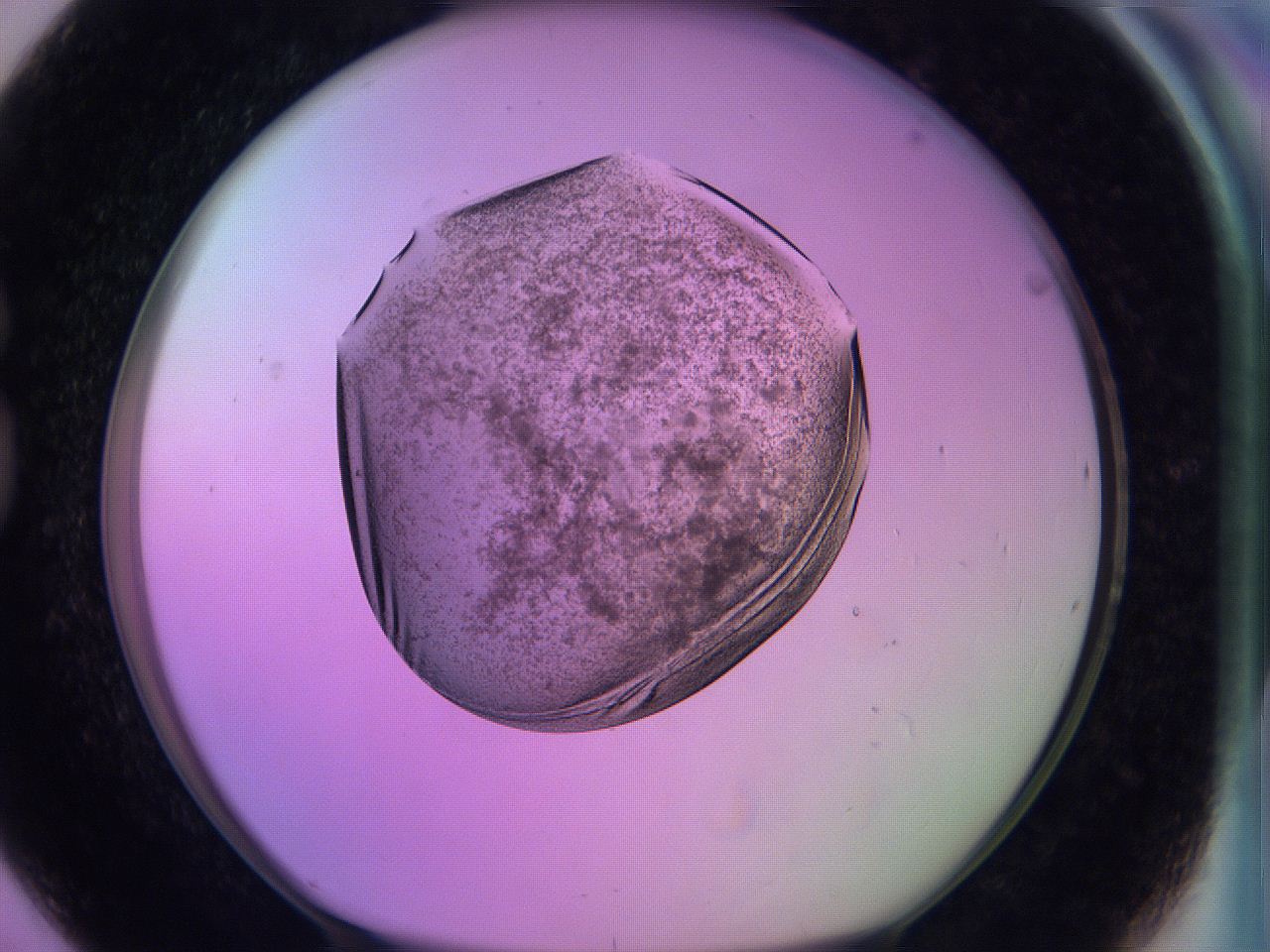 060v_G8_ImagerDefaults_3.jpg