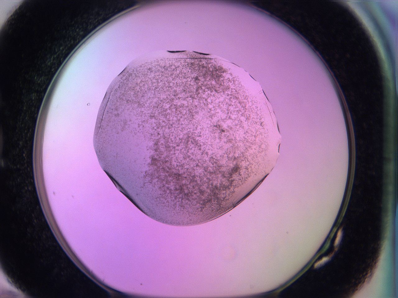 060v_G10_ImagerDefaults_3.jpg