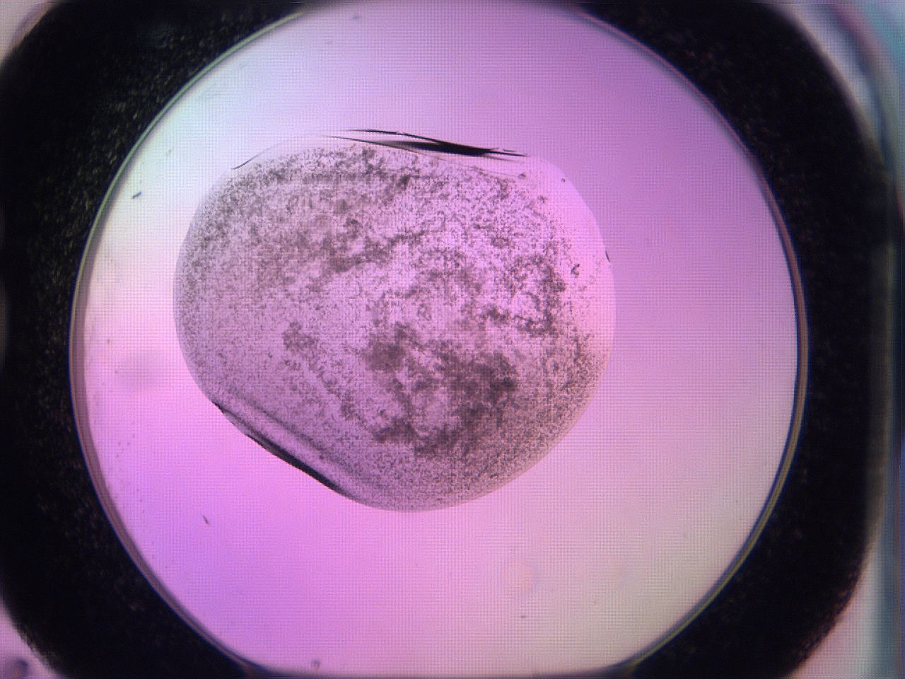 060v_G11_ImagerDefaults_3.jpg