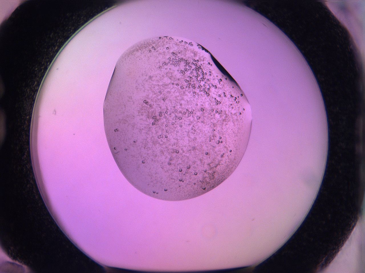 060v_G12_ImagerDefaults_6.jpg