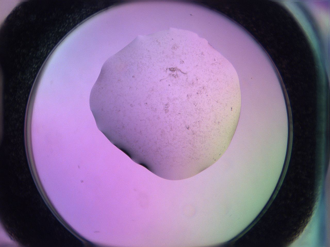 060v_H10_ImagerDefaults_3.jpg