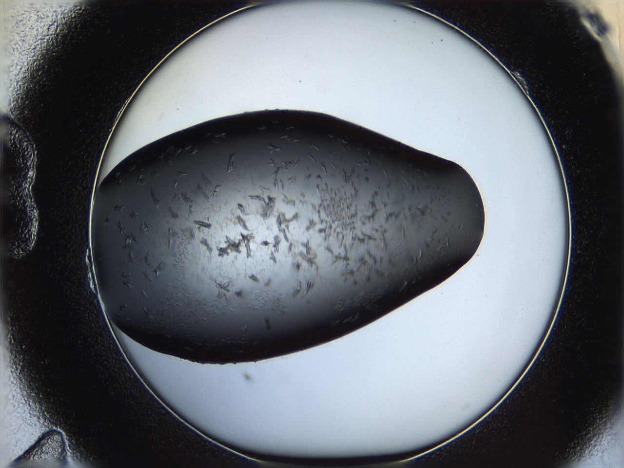 060y_B11_ImagerDefaults_7.jpg