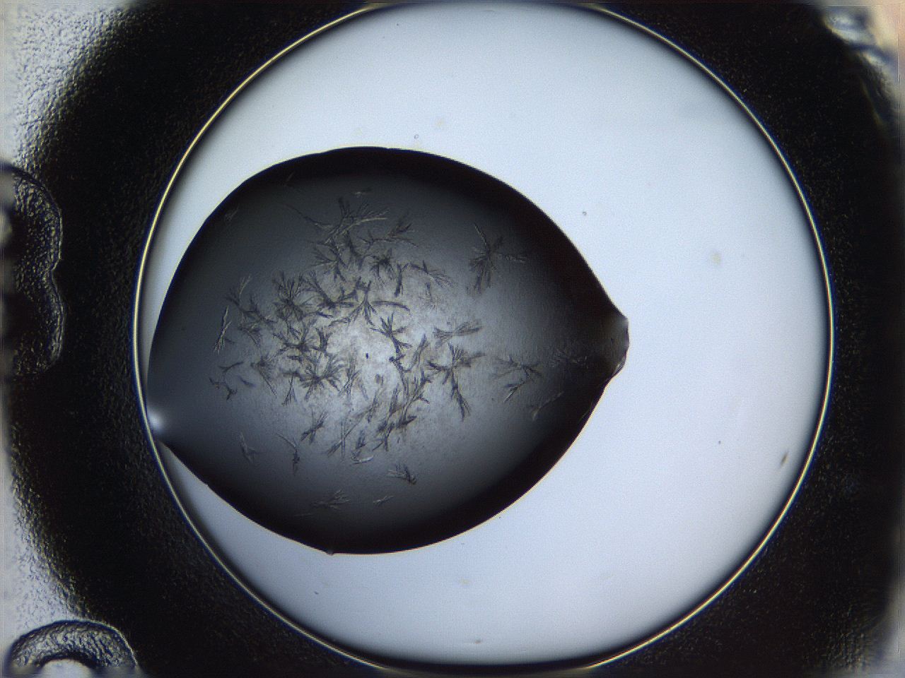 060y_B12_ImagerDefaults_7.jpg