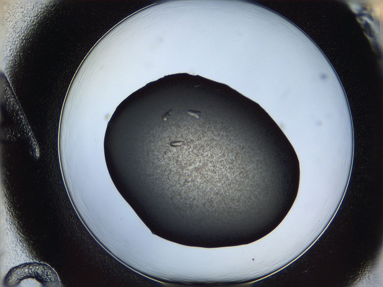 060y_A12_ImagerDefaults_8.jpg