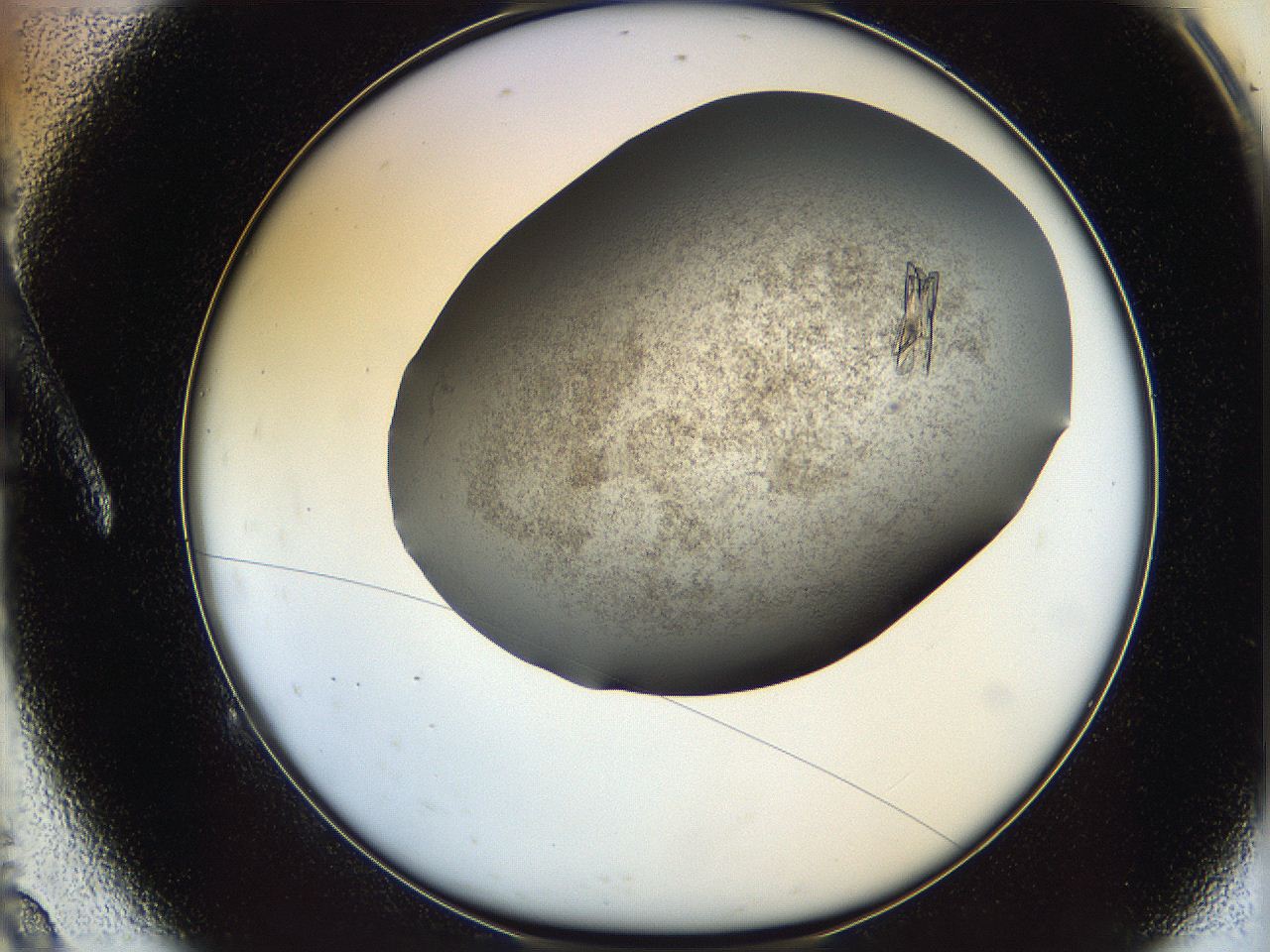 060y_A9_ImagerDefaults_9.jpg
