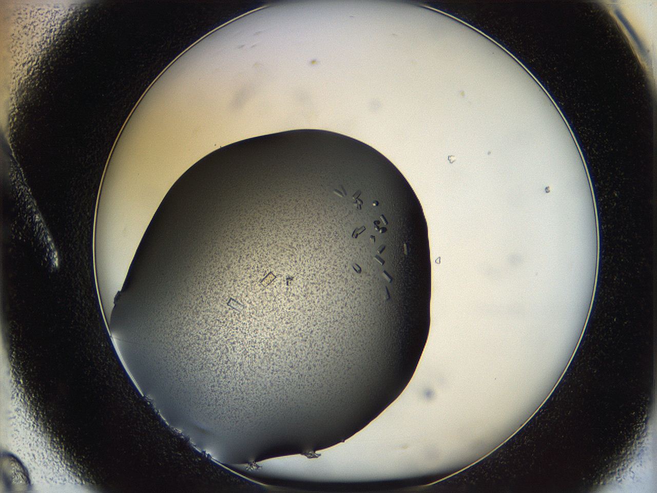 060y_A8_ImagerDefaults_7.jpg
