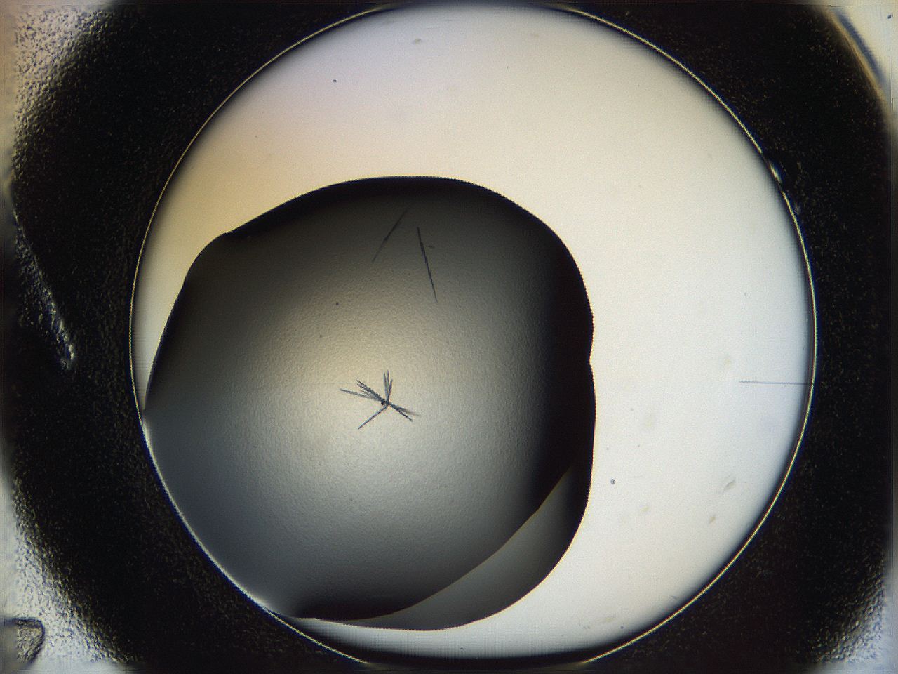 060y_A7_ImagerDefaults_6.jpg