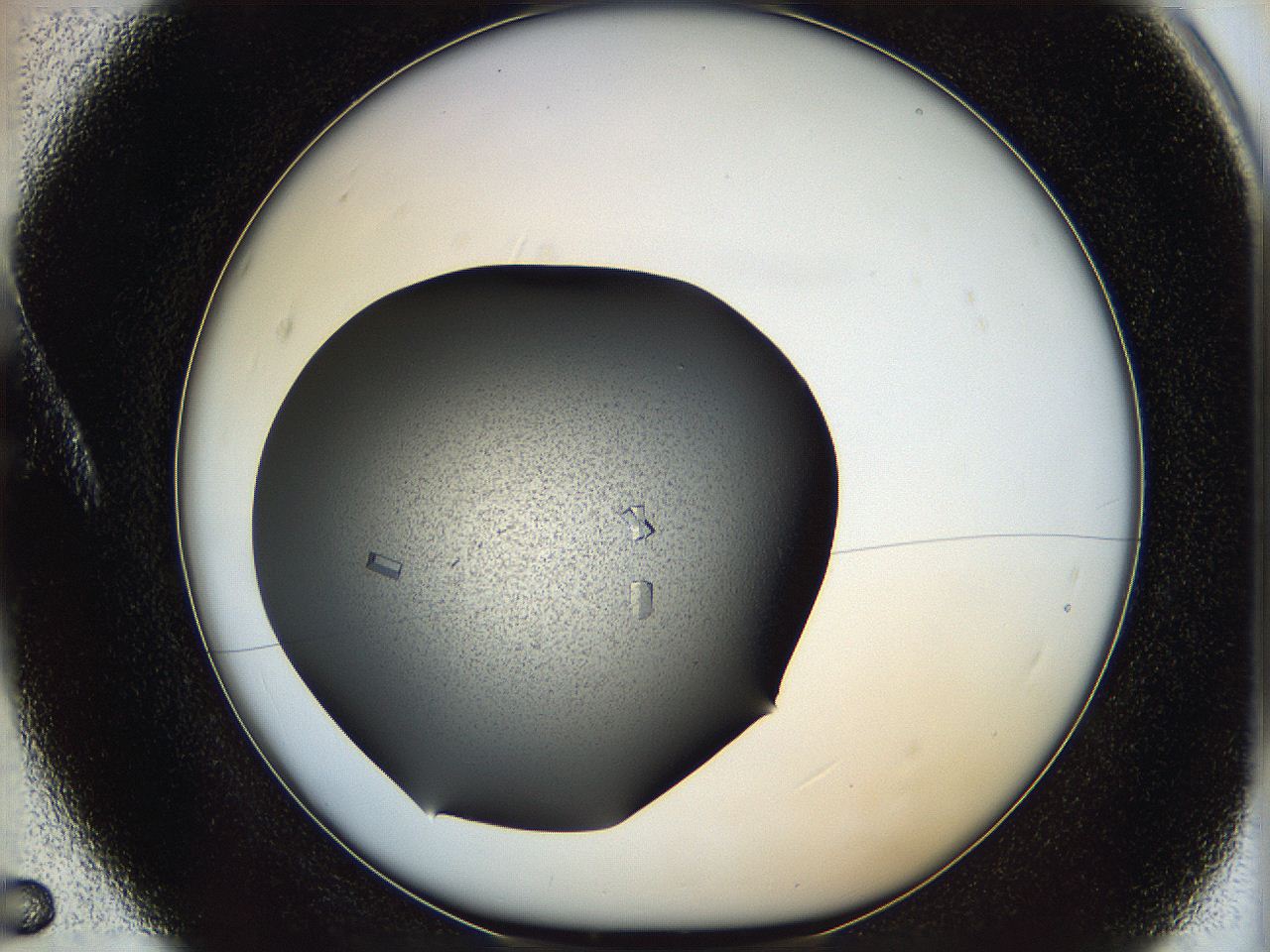 060y_A5_ImagerDefaults_8.jpg