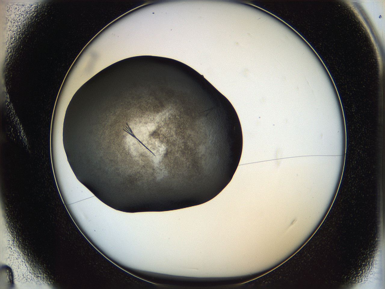 060y_A4_ImagerDefaults_6.jpg