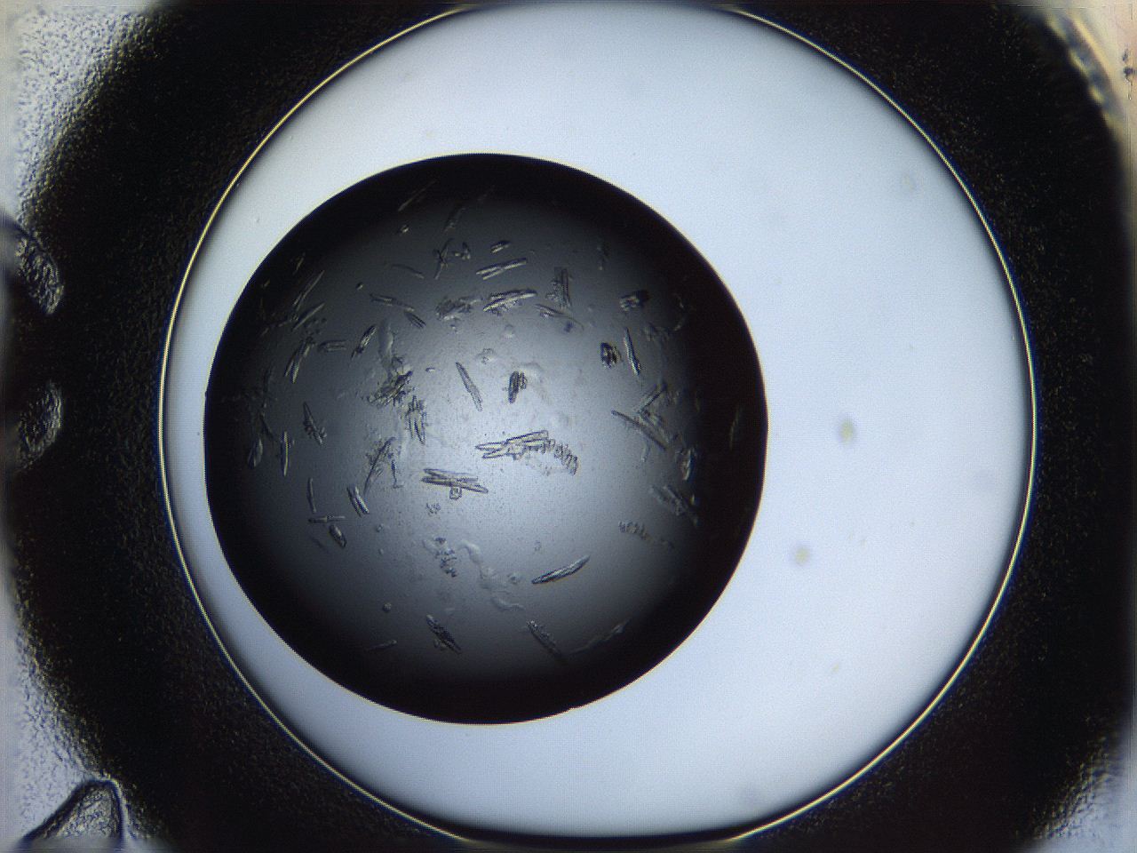 060y_C11_ImagerDefaults_7.jpg