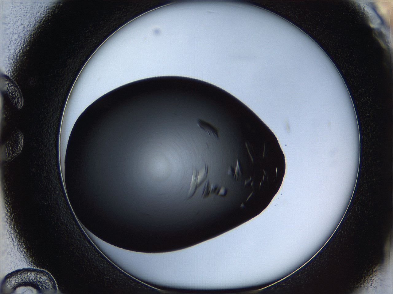060y_C12_ImagerDefaults_9.jpg
