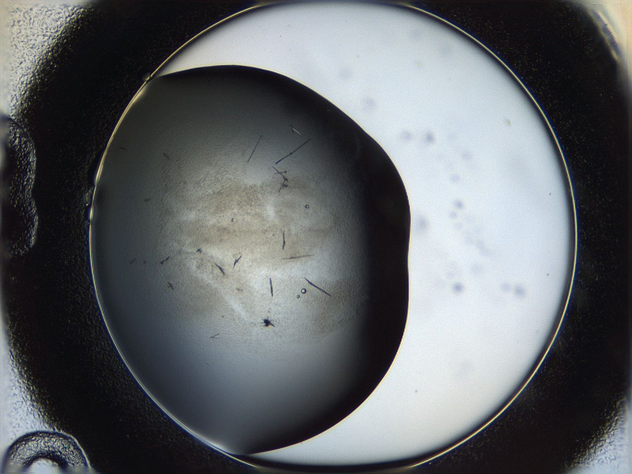 060y_B10_ImagerDefaults_6.jpg