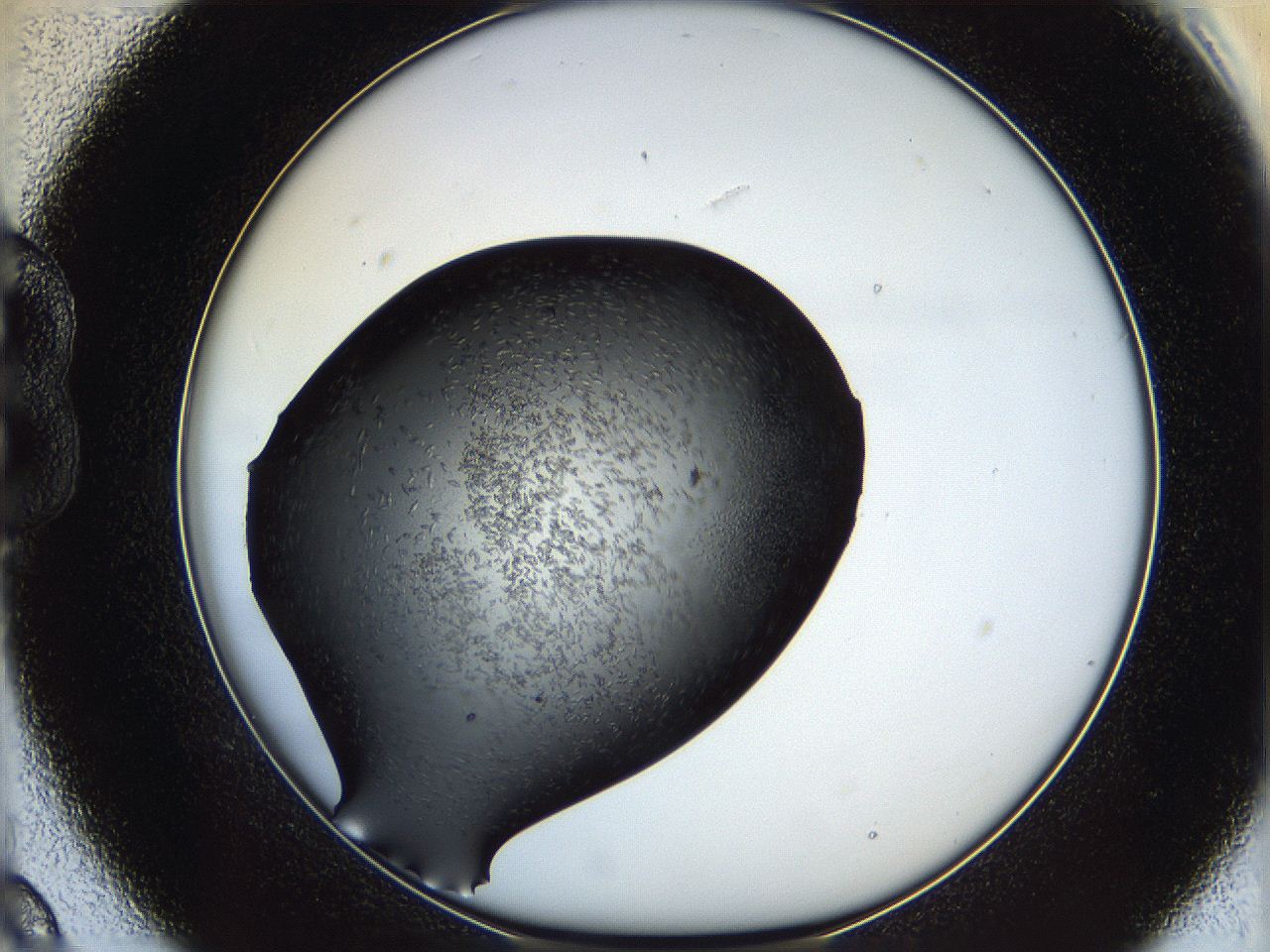 060y_B9_ImagerDefaults_6.jpg