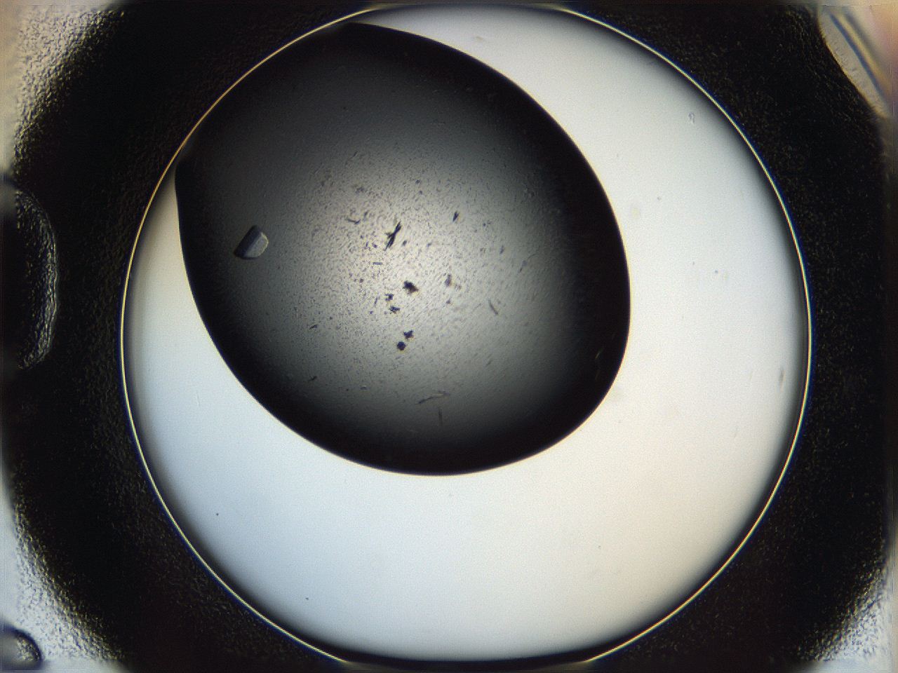 060y_D6_ImagerDefaults_9.jpg