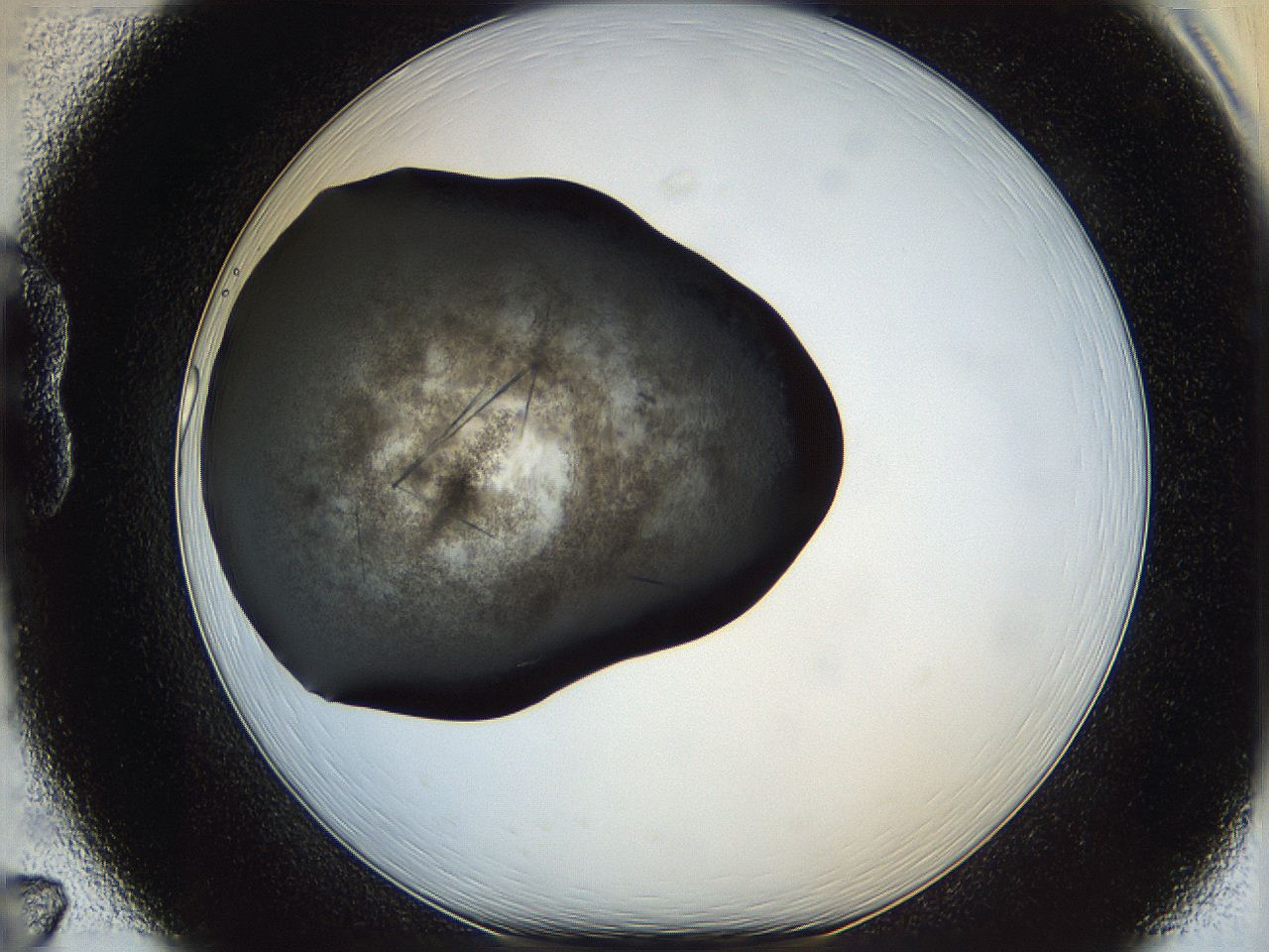 060y_B7_ImagerDefaults_6.jpg