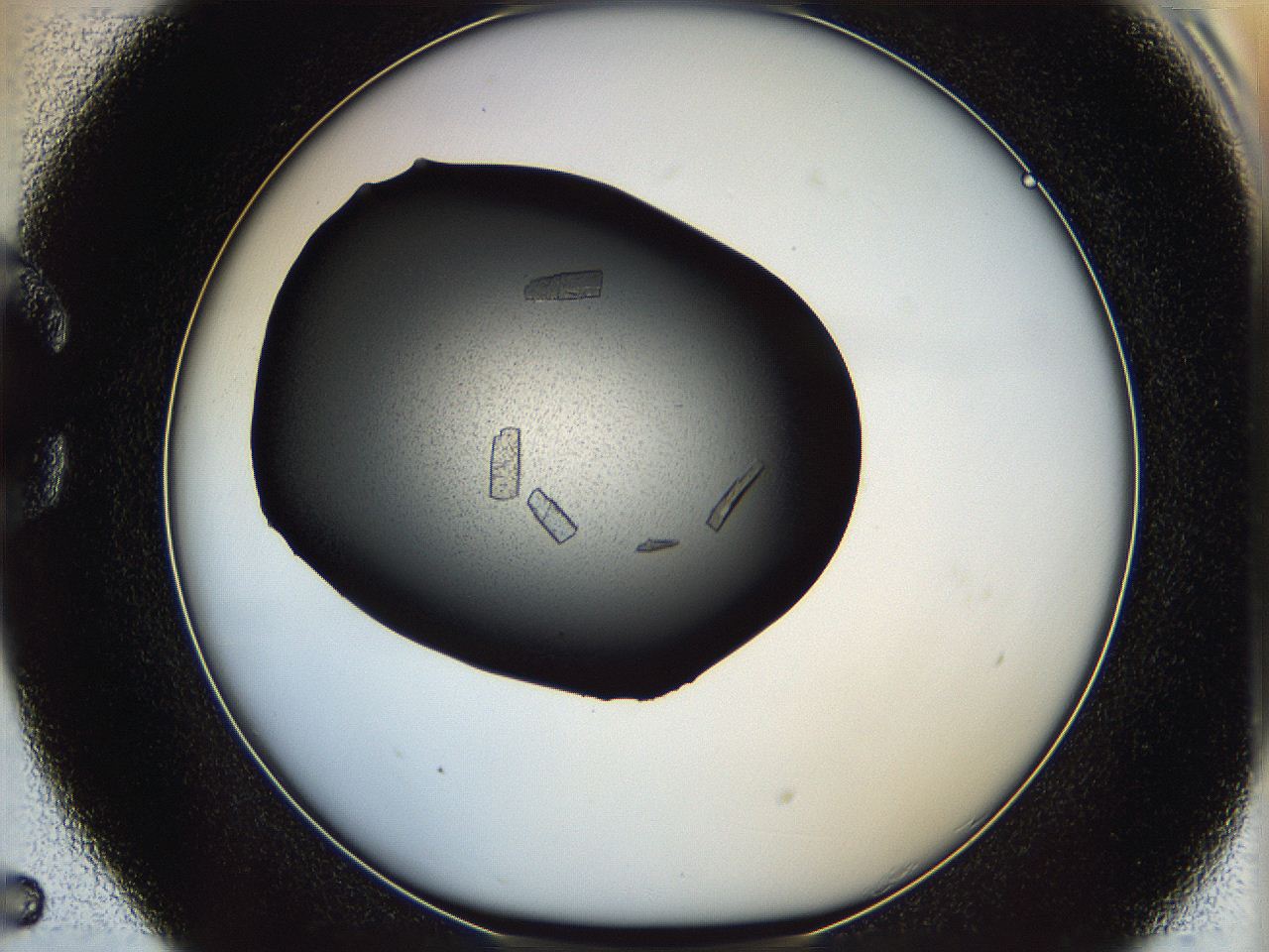 060y_C5_ImagerDefaults_9.jpg