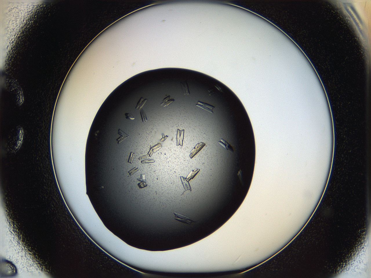 060y_C6_ImagerDefaults_8.jpg