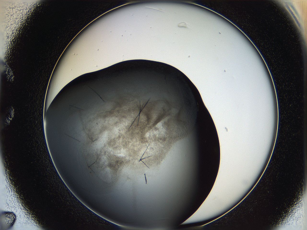 060y_C7_ImagerDefaults_6.jpg