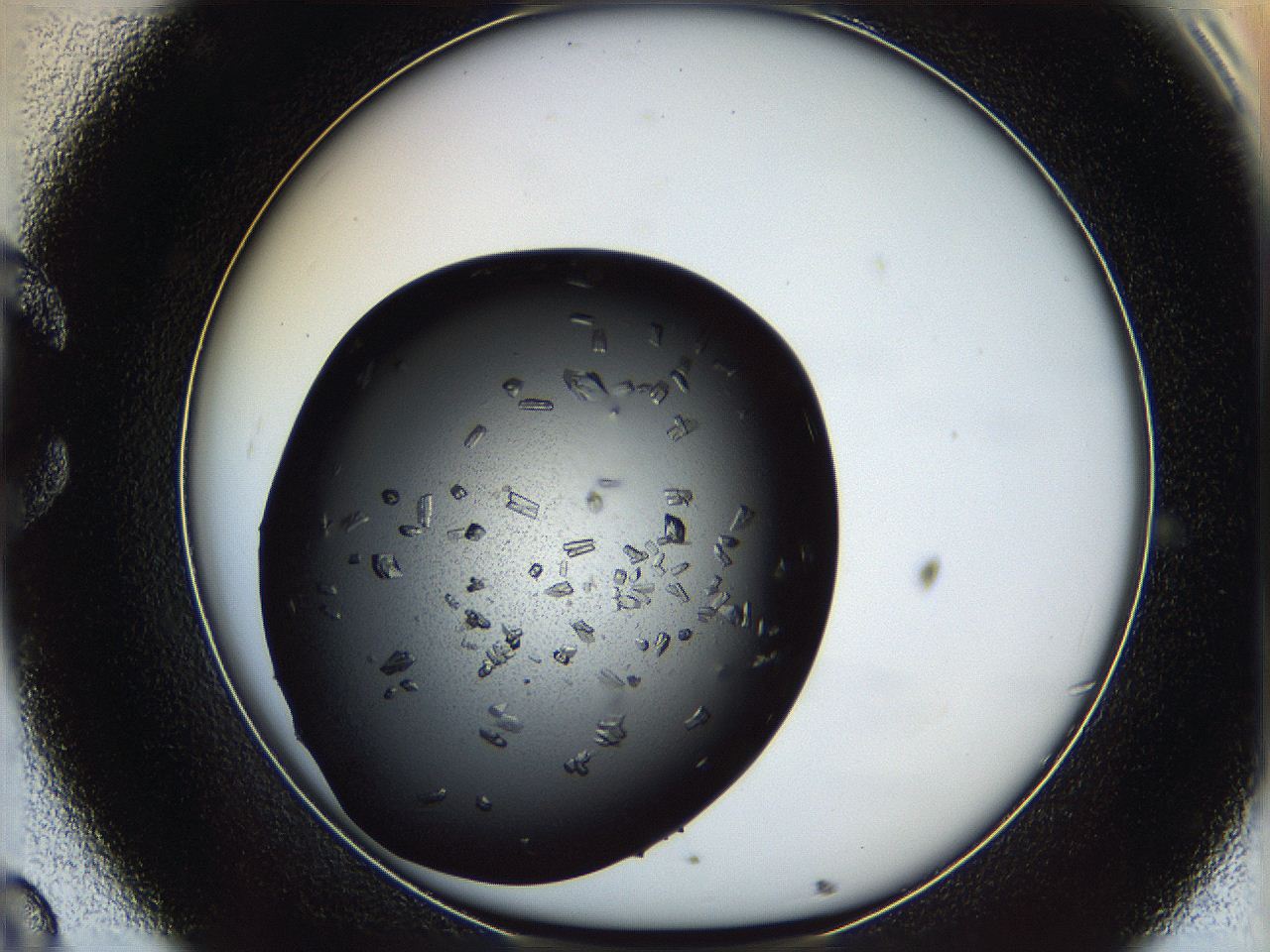060y_C8_ImagerDefaults_6.jpg
