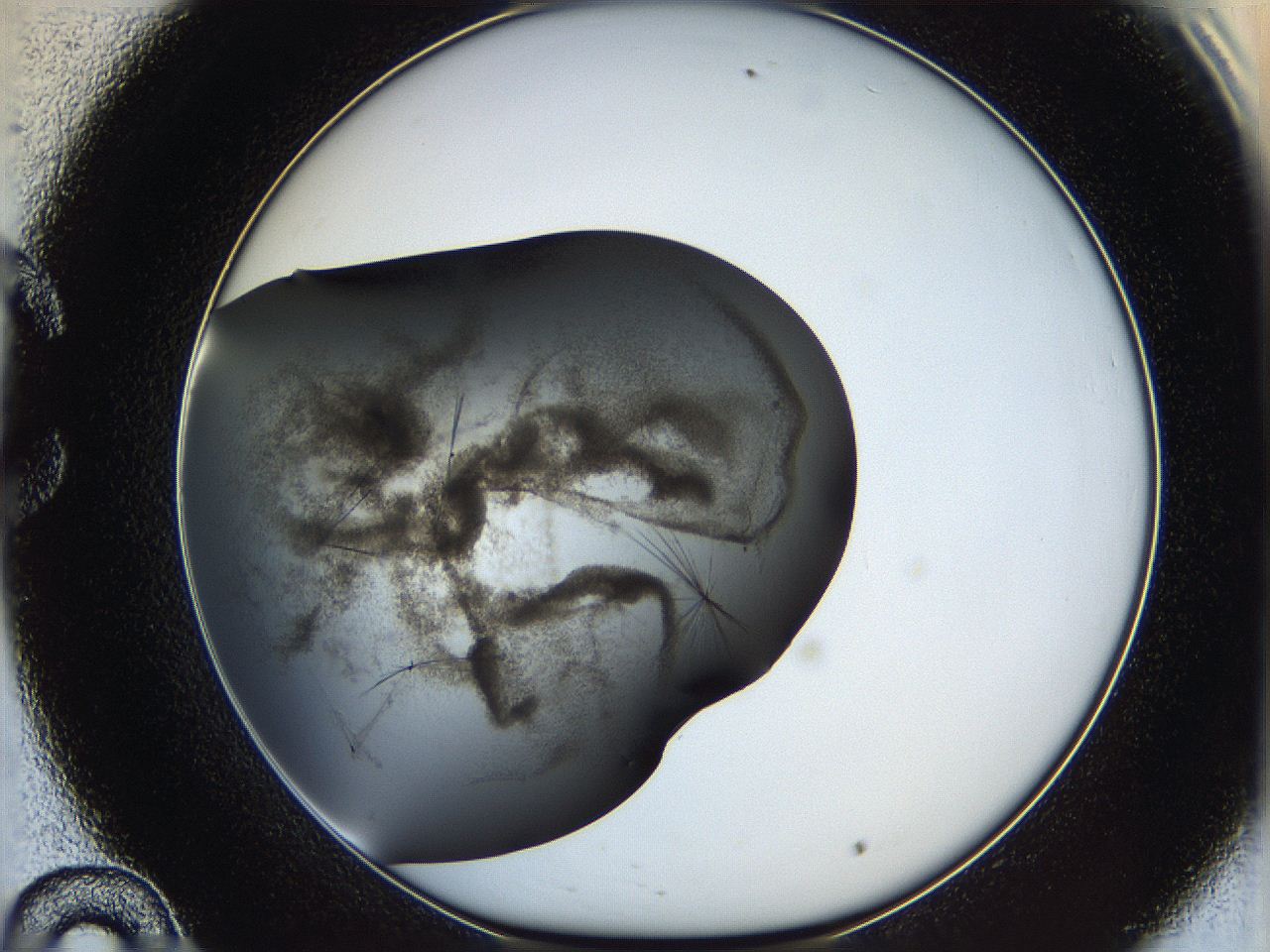 060y_C10_ImagerDefaults_6.jpg