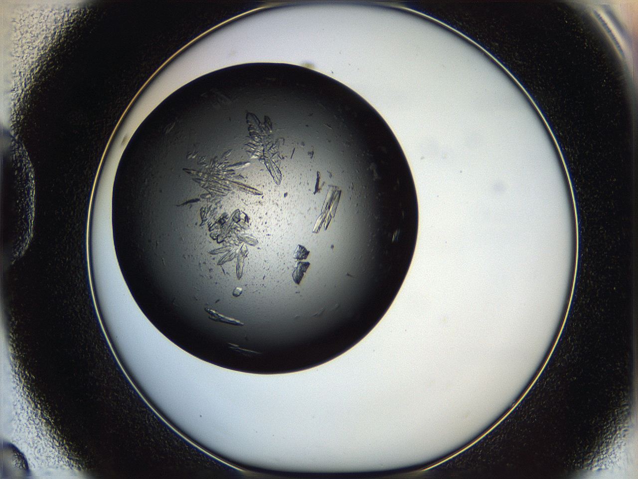 060y_D8_ImagerDefaults_9.jpg