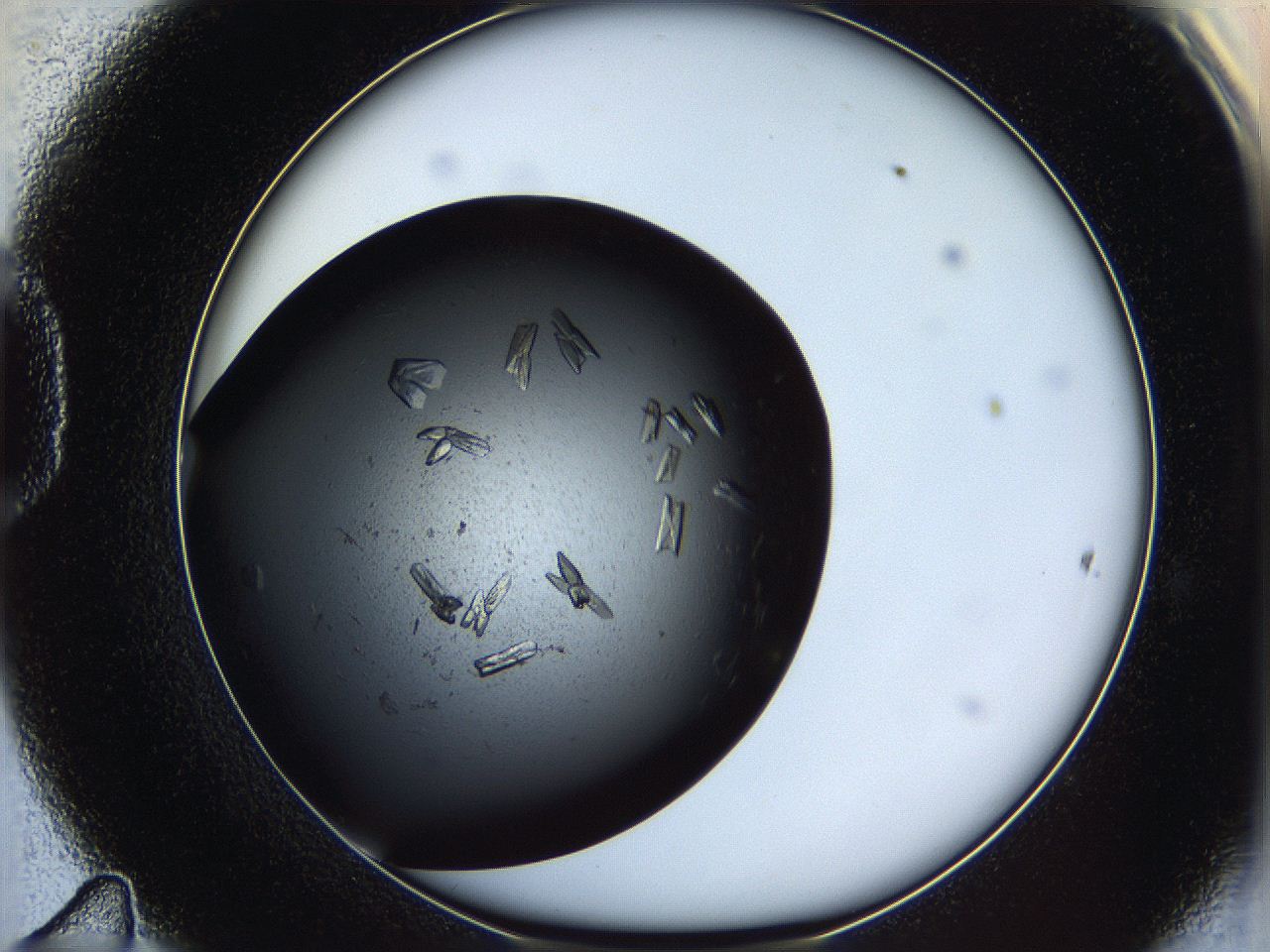 060y_D11_ImagerDefaults_9.jpg