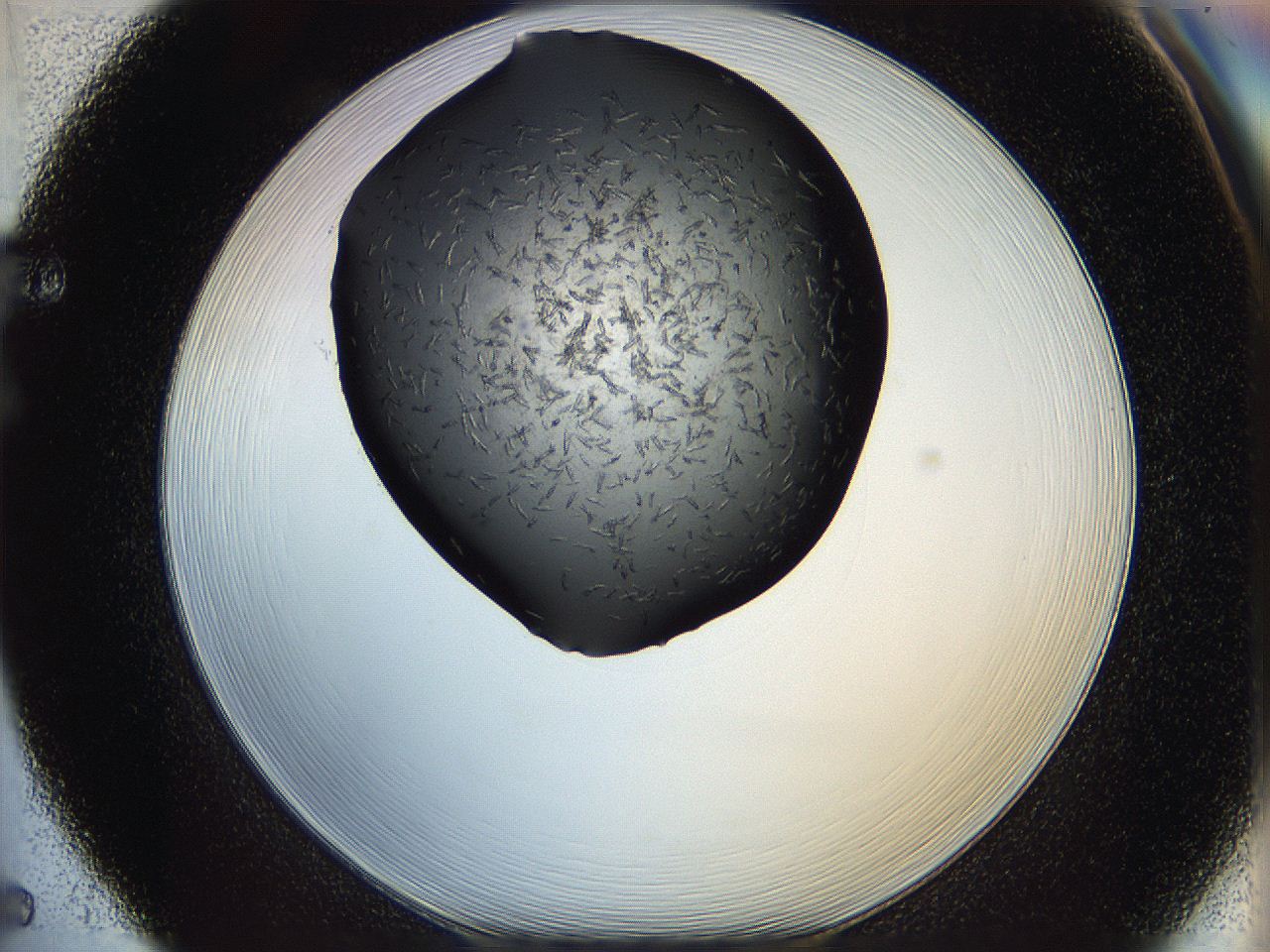 060y_F5_ImagerDefaults_6.jpg