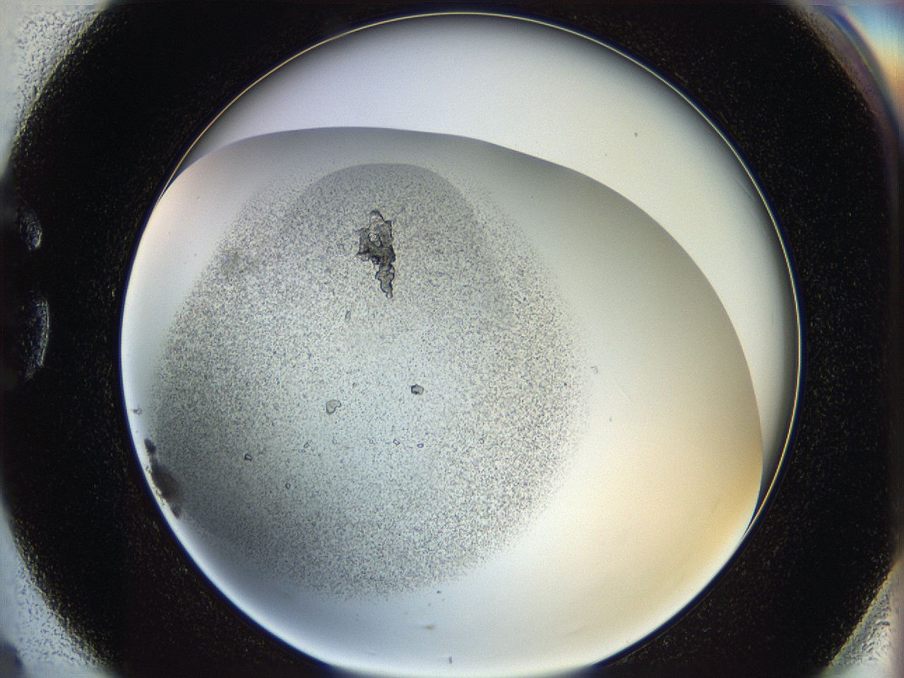 060y_G4_ImagerDefaults_8.jpg