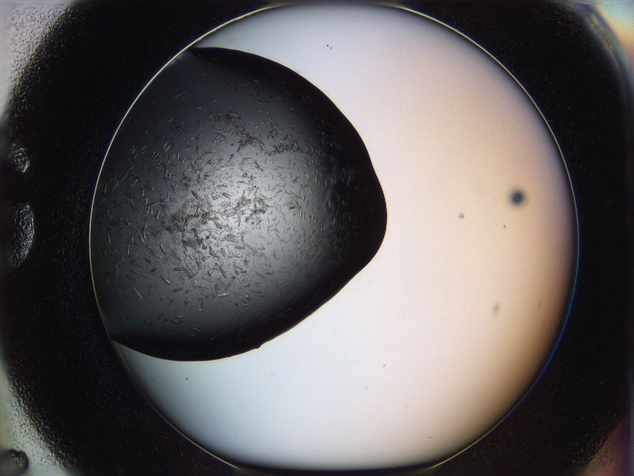 060y_G7_ImagerDefaults_6.jpg