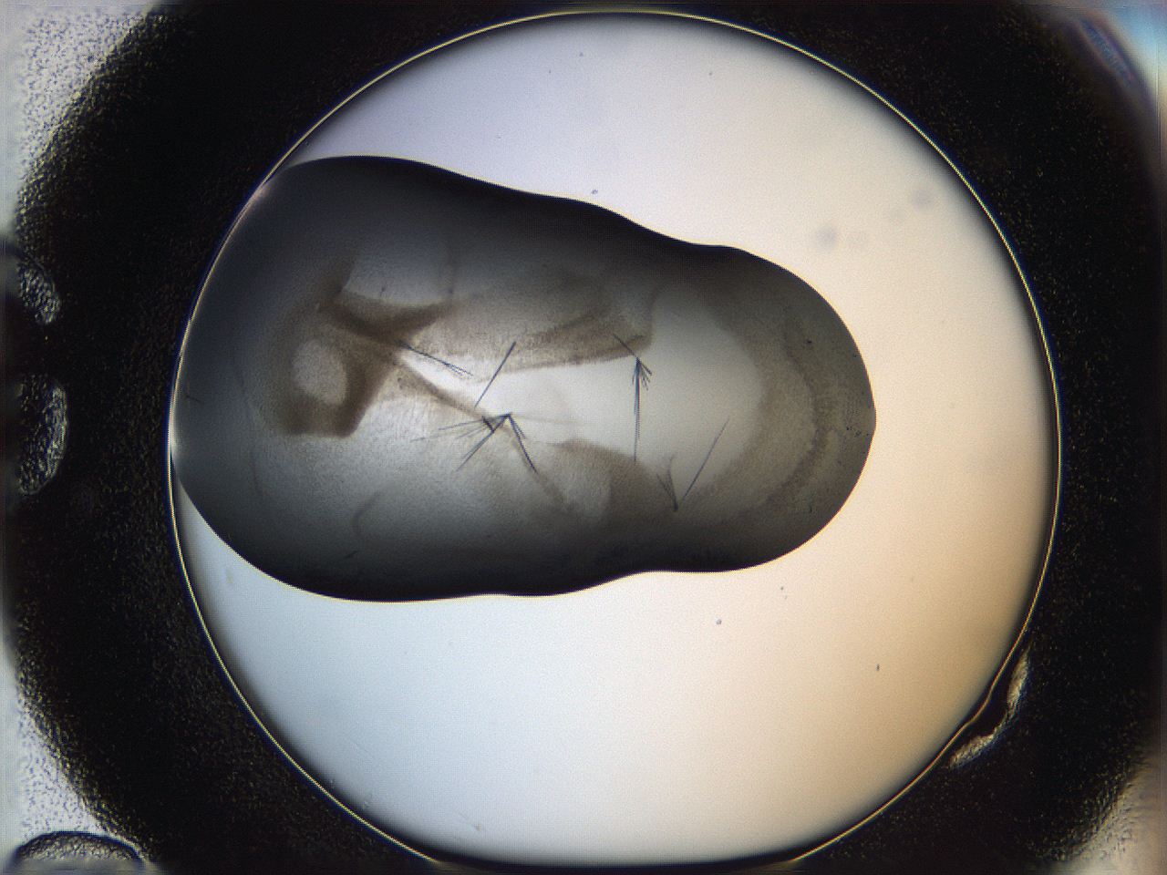060y_G10_ImagerDefaults_6.jpg