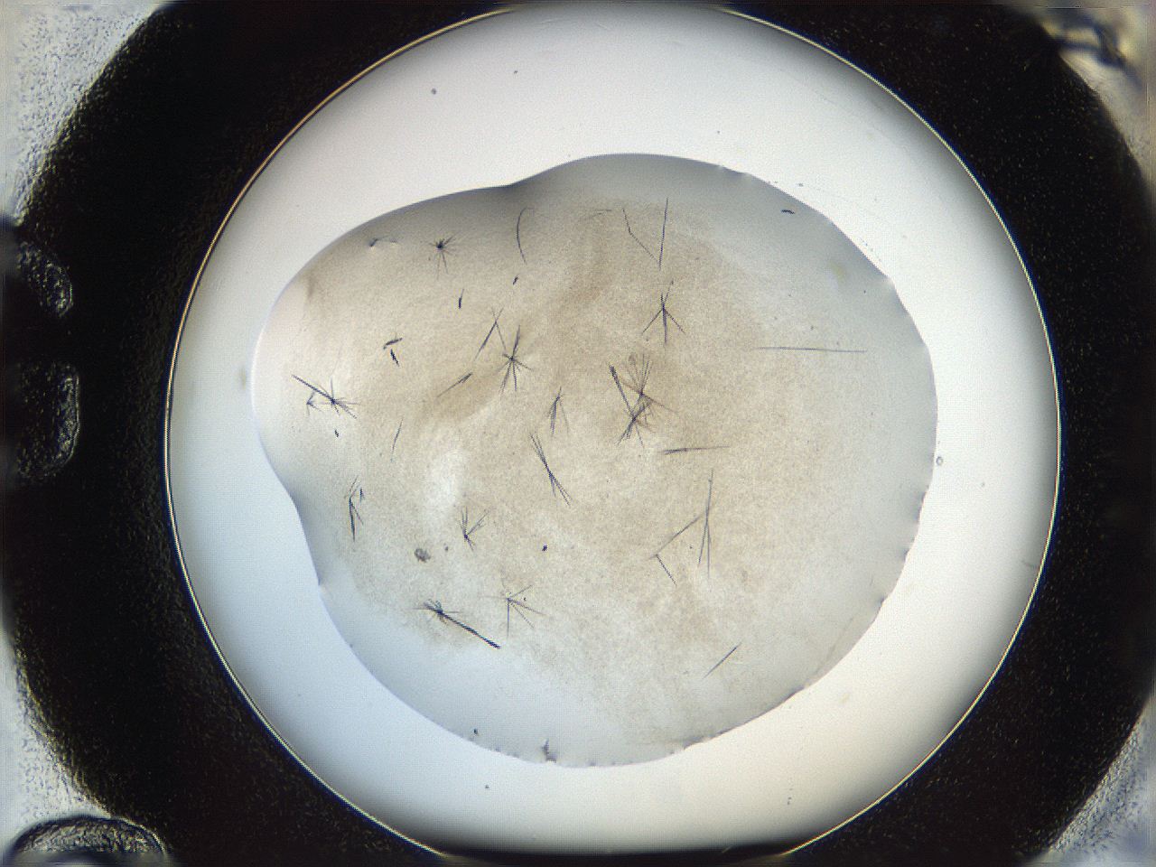 060y_G12_ImagerDefaults_6.jpg