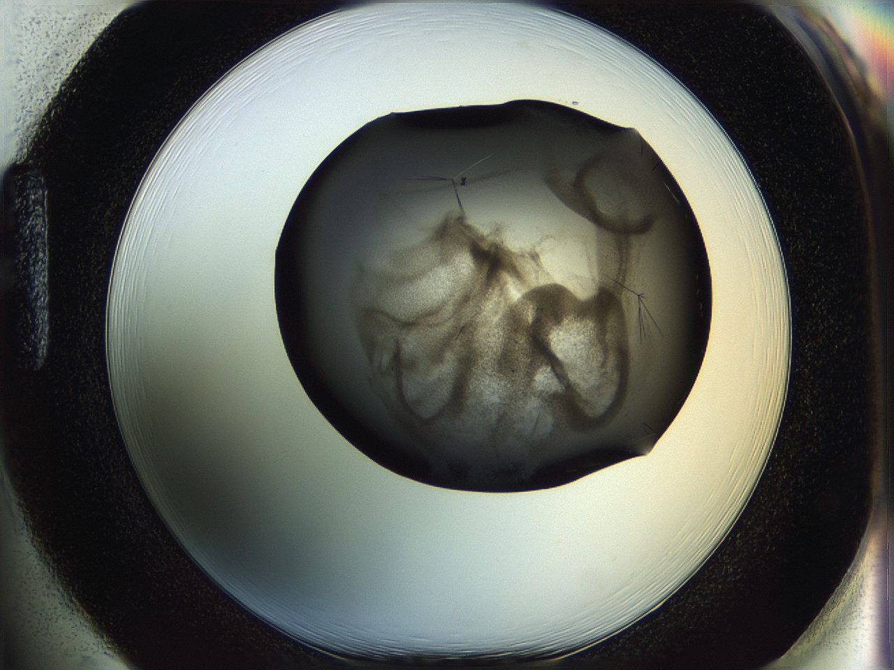 060y_H1_ImagerDefaults_6.jpg