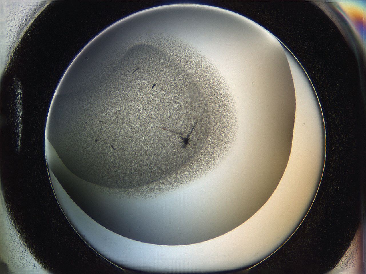 060y_H4_ImagerDefaults_6.jpg