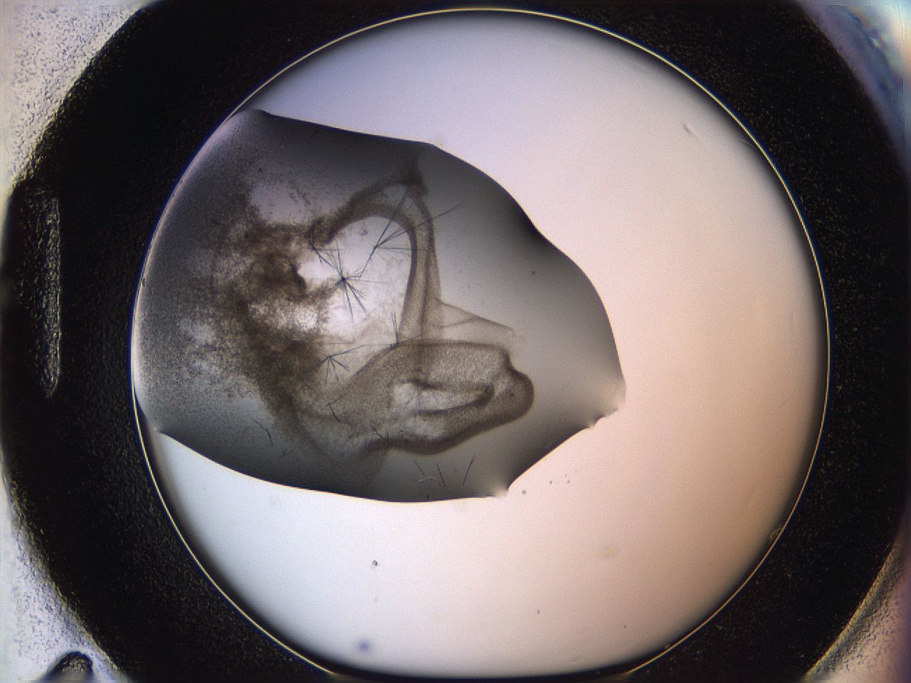 060y_H11_ImagerDefaults_6.jpg