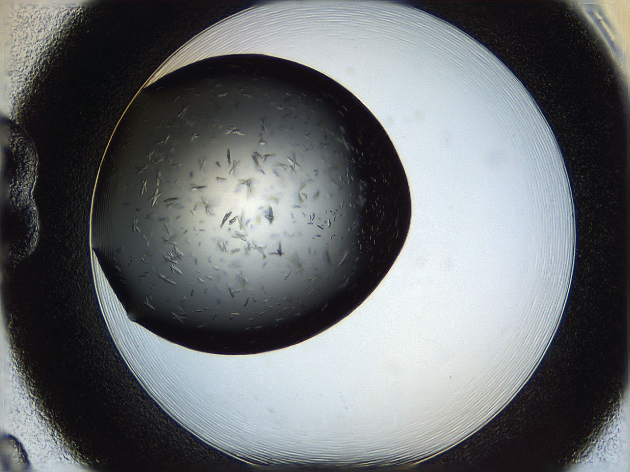 060z_B8_ImagerDefaults_6.jpg
