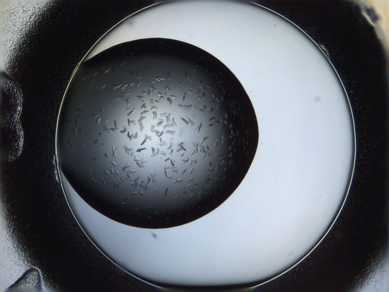 060z_B11_ImagerDefaults_6.jpg