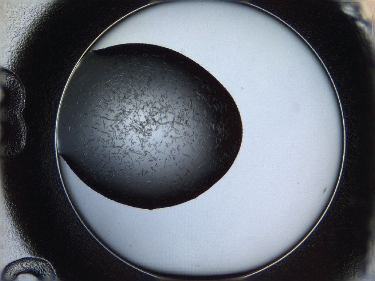 060z_B12_ImagerDefaults_6.jpg