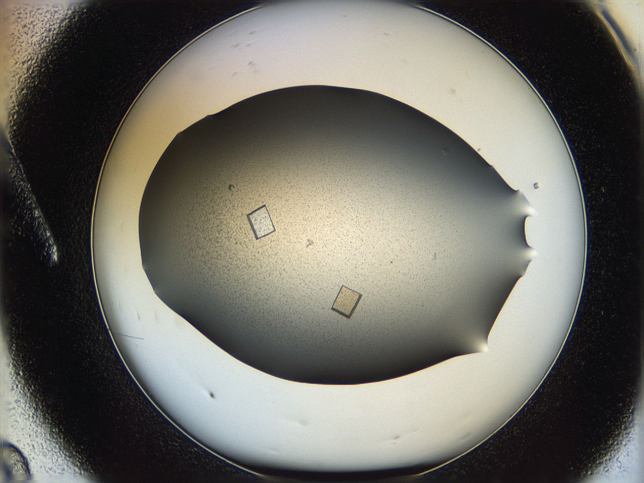 060z_A8_ImagerDefaults_9.jpg